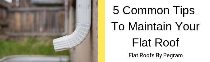5 Common Maintenance Tips For Your Flat Roof